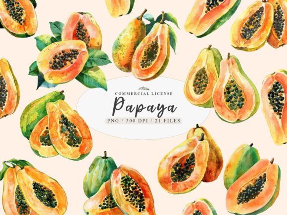 Download Watercolor Papaya Fruit Clipart, Papaya - Papaya Collection