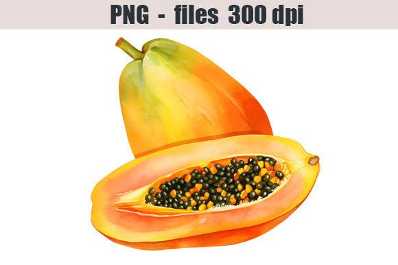 Download Papaya Watercolor Сlipart - Premium Resources