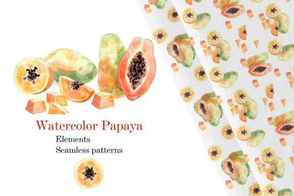 Download Watercolor Papaya. - Premium Resources